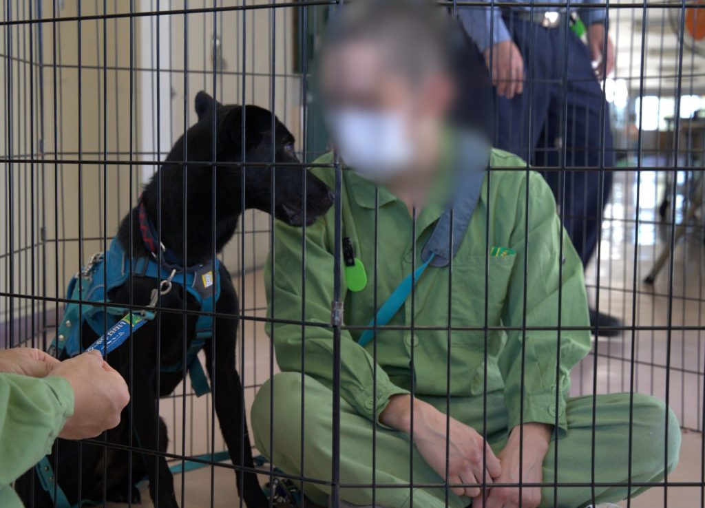 72e7c4c67c89f8c2dc0e9d147980e3a4