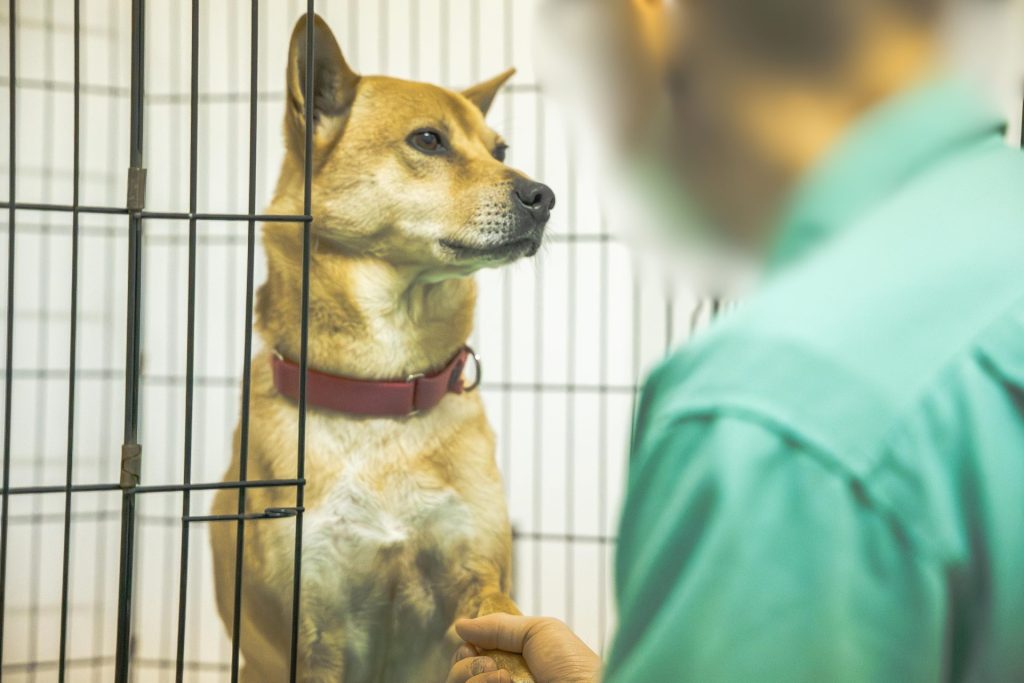 55dc747ed292d62072095b3c17a0ab6d