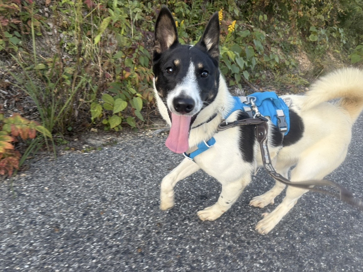 4e6728a35991a813b2b3d81ac93f25f0