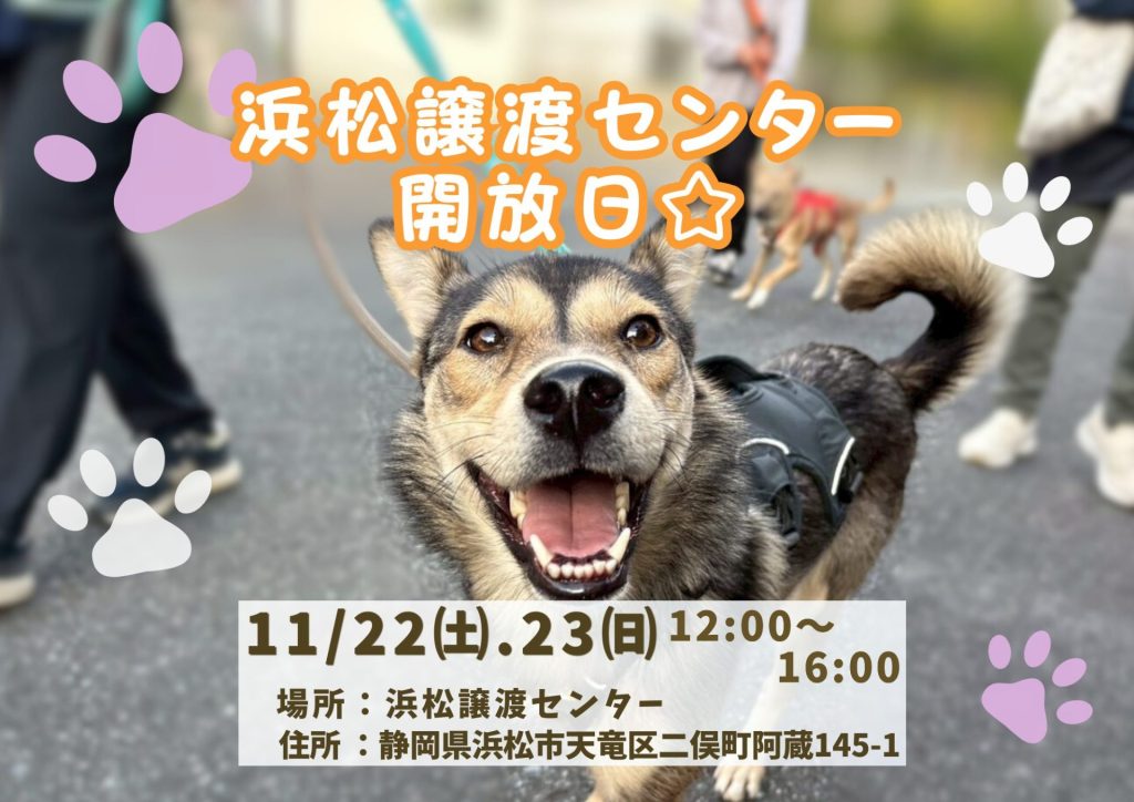 947d86da9dd38fe709bc13b5b9057198