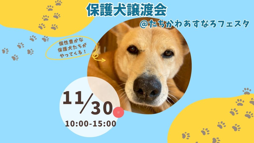 a7434fad9036aa11d15f86f45a988da8