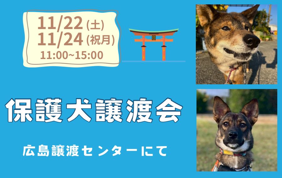 【ピースワンコの譲渡会】11/22(土)、24(祝月)「保護犬譲渡会」開催(広島譲渡センター) 10 eyecatch 14