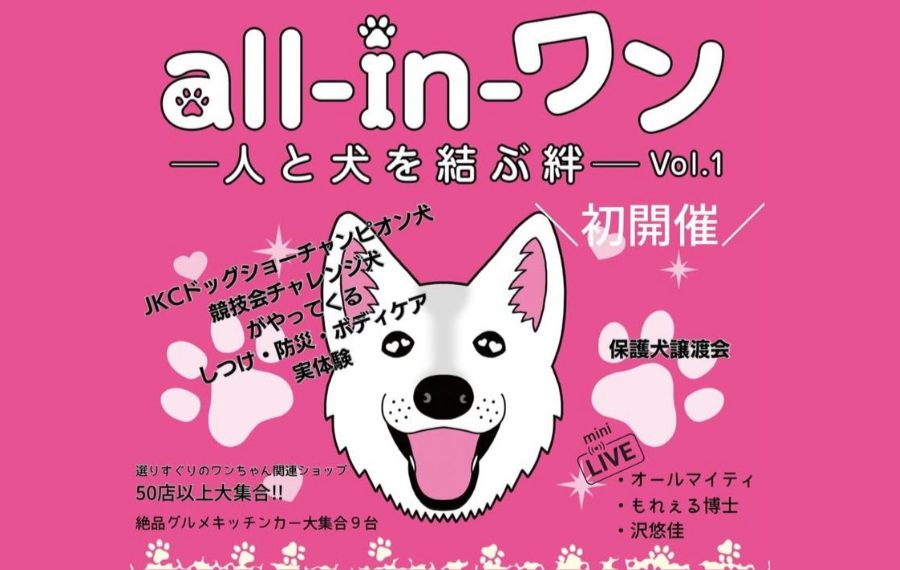 【ピースワンコの譲渡会】11/30(日)「all-in-ワン ~人と犬を結ぶ絆~」に参加(広島/呉市) 6 eyecatch 15