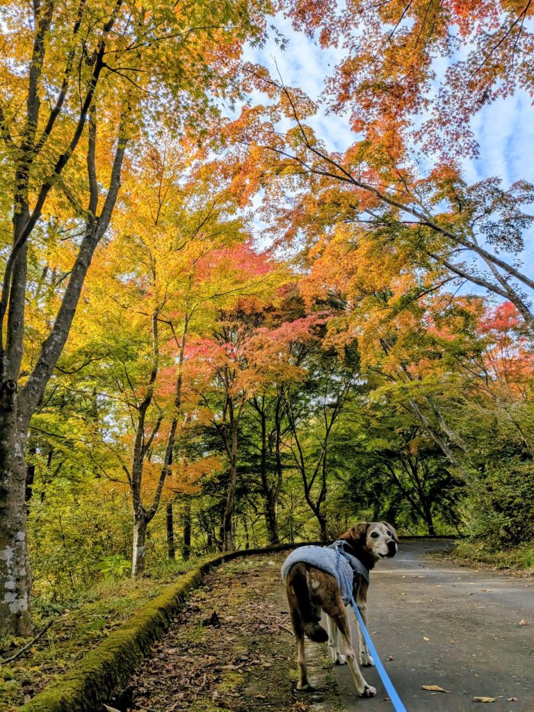 7d9175e6ae5ccf4b1610092911444e47