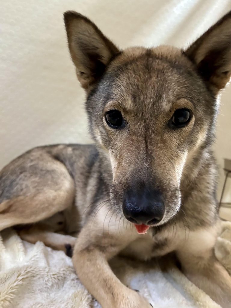 7ae0c9e044c580e5b8b086b7f7d7329d