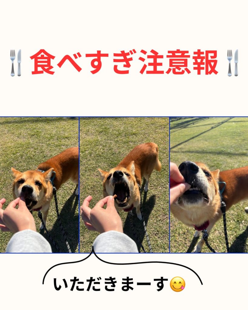 a9817aa543242a19514a2db29a6dc1c5