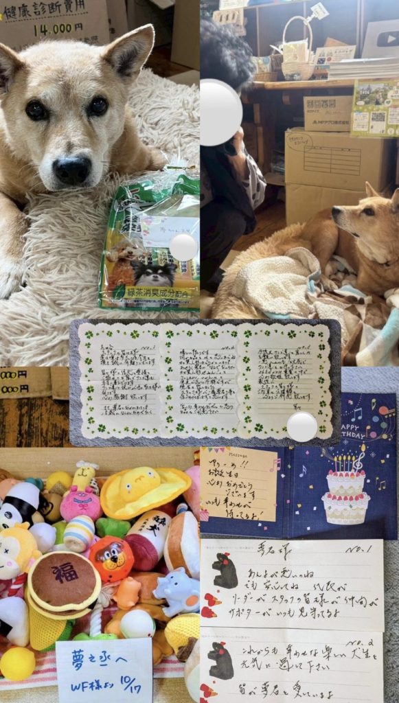 0497d348672d01c4db41d587ffaa16d9