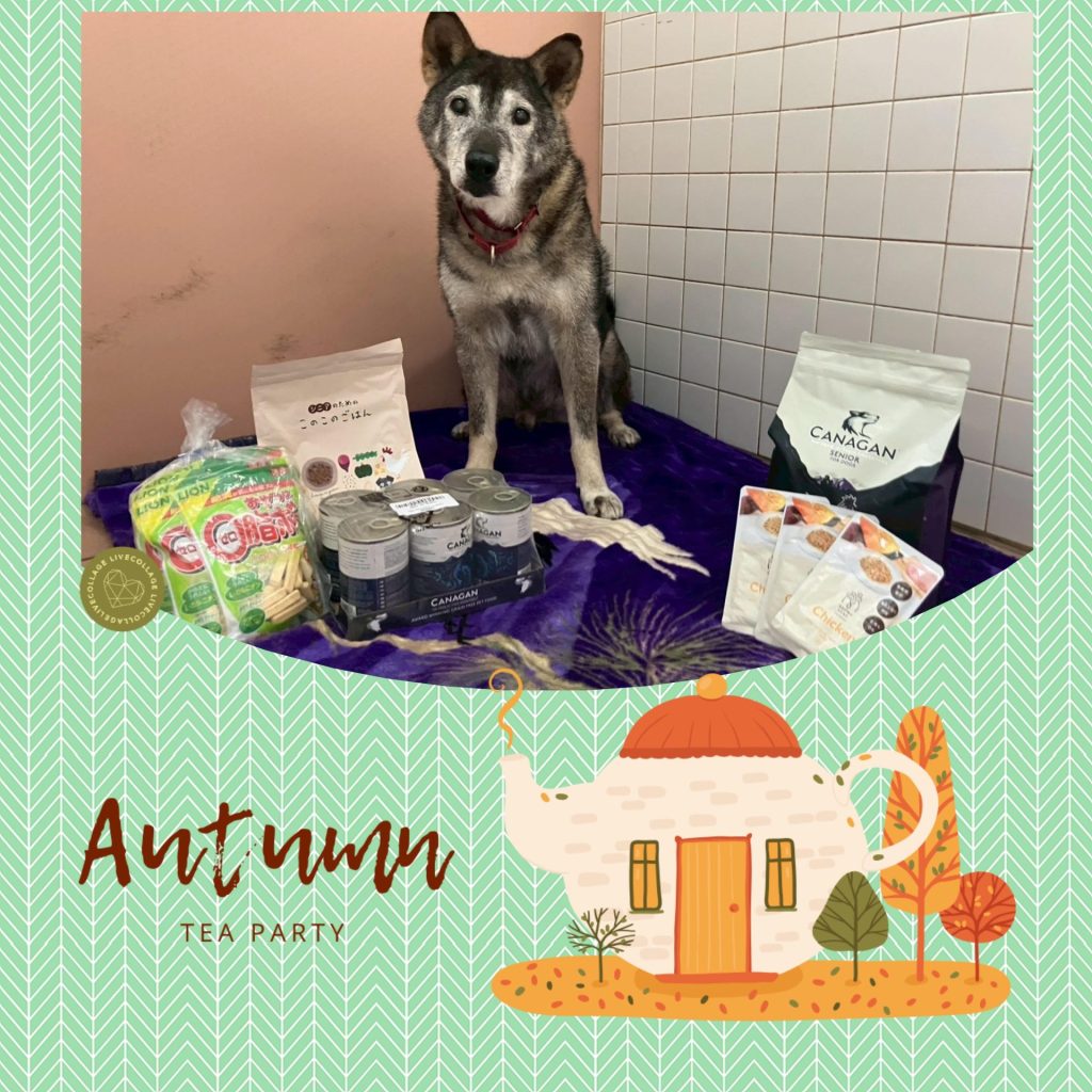 aa5c67357d6ebfeaf568f153f71a94a6 1