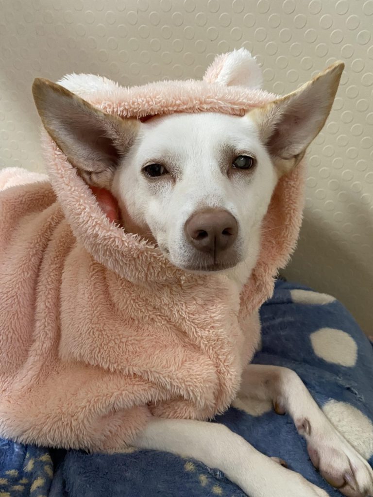 454b25d64dc4344f5a5d7eb9969942fa 3