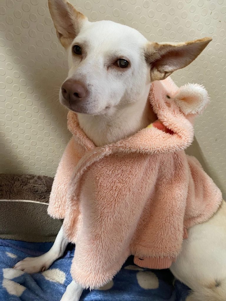 b0f10ac9717d121a71b093fb4abd8b5a 3