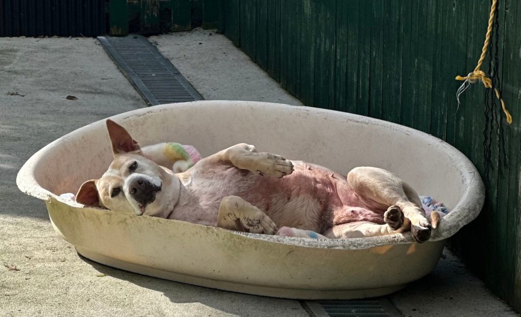 38cc7a004ea4854ecb09c61ab1a9fe8f