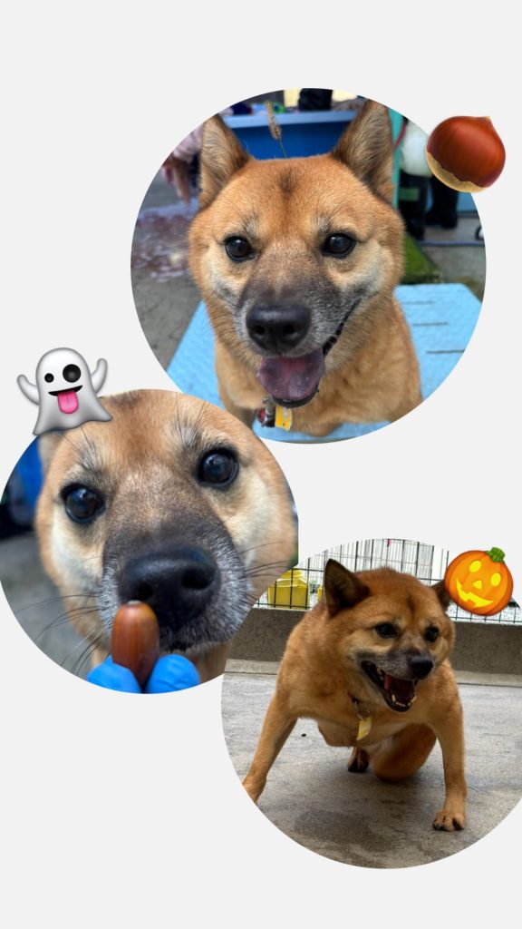 d6b66e1a77c4e729ceda1a6c11d2b1aa