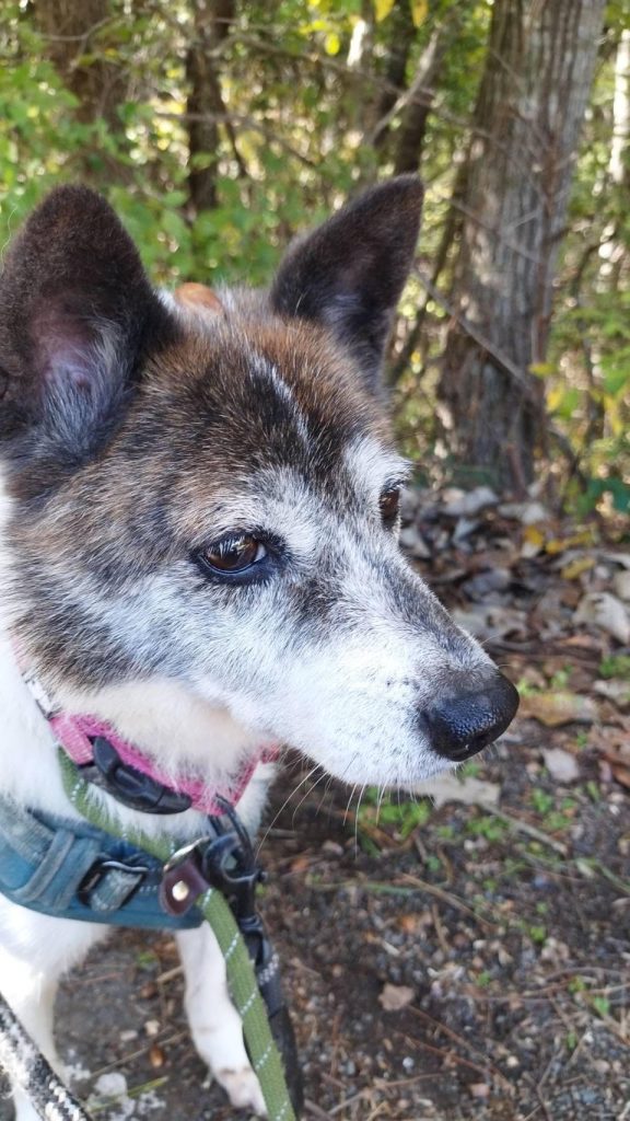 f359235cbb9fe739bbcf8f3b57a5c63b