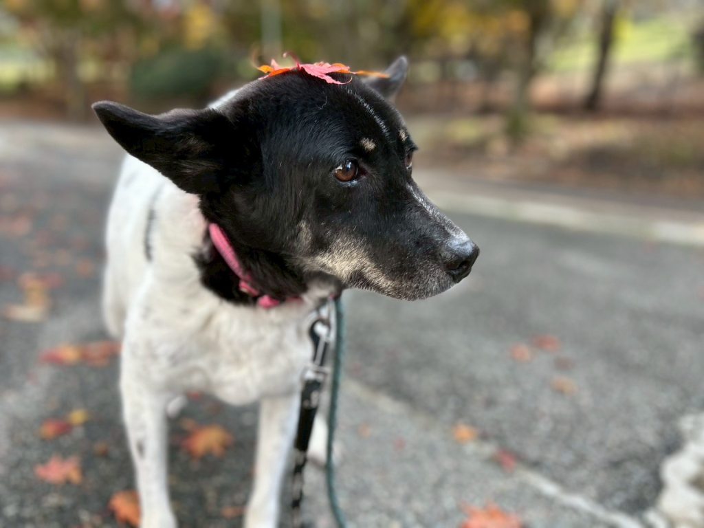 5bed7e27c36fcf6e7b8f9f153663b57d