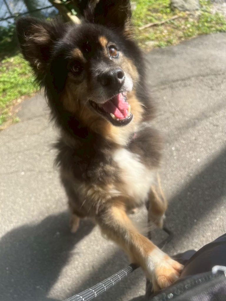 2caea9f8fbc0f81ae4340cda77c0a256