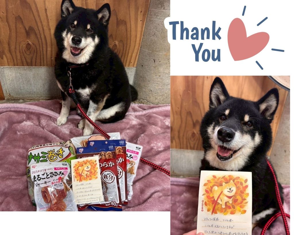 6e9f1d49faa7afbd1370f7d4d84bdeac