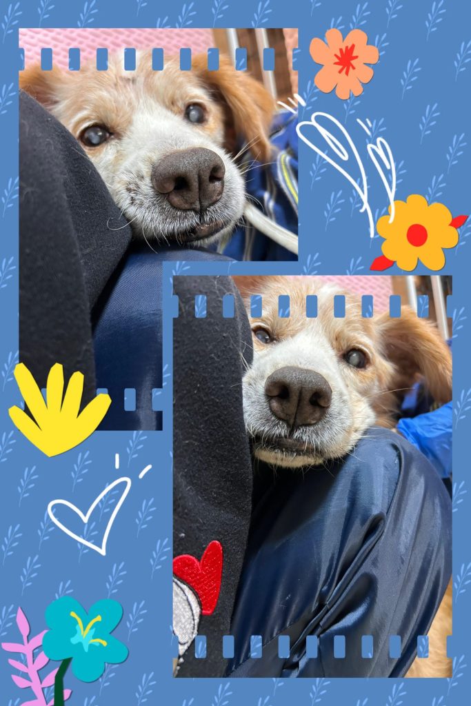 7e1fa0d030e3a542f0ed480184693742