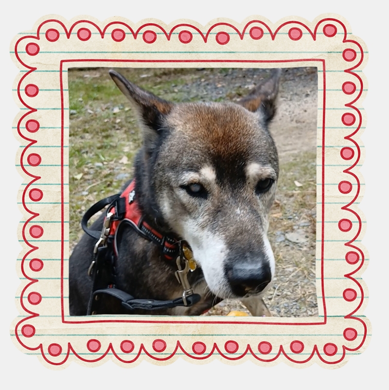 273e90c1ab239f9306e42b5b47fc59d4