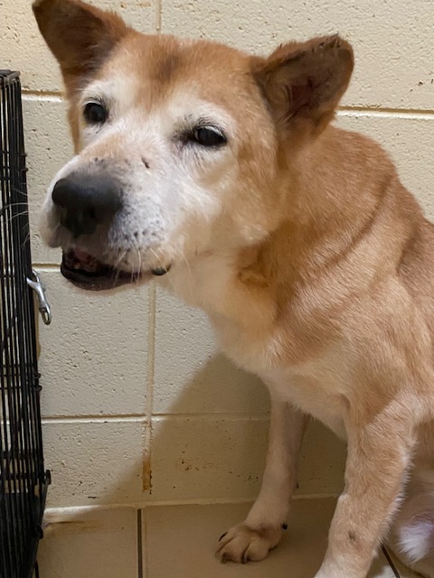 9101be6cb0e1e4128e30dc60951e5eed