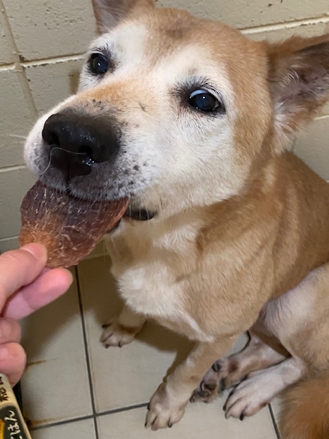 a6b8761486ad8a746eb3c3ae41a465e6