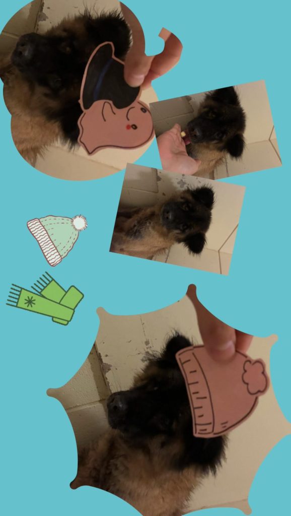 91f55d42d900fa8d12f0974ed3050af1