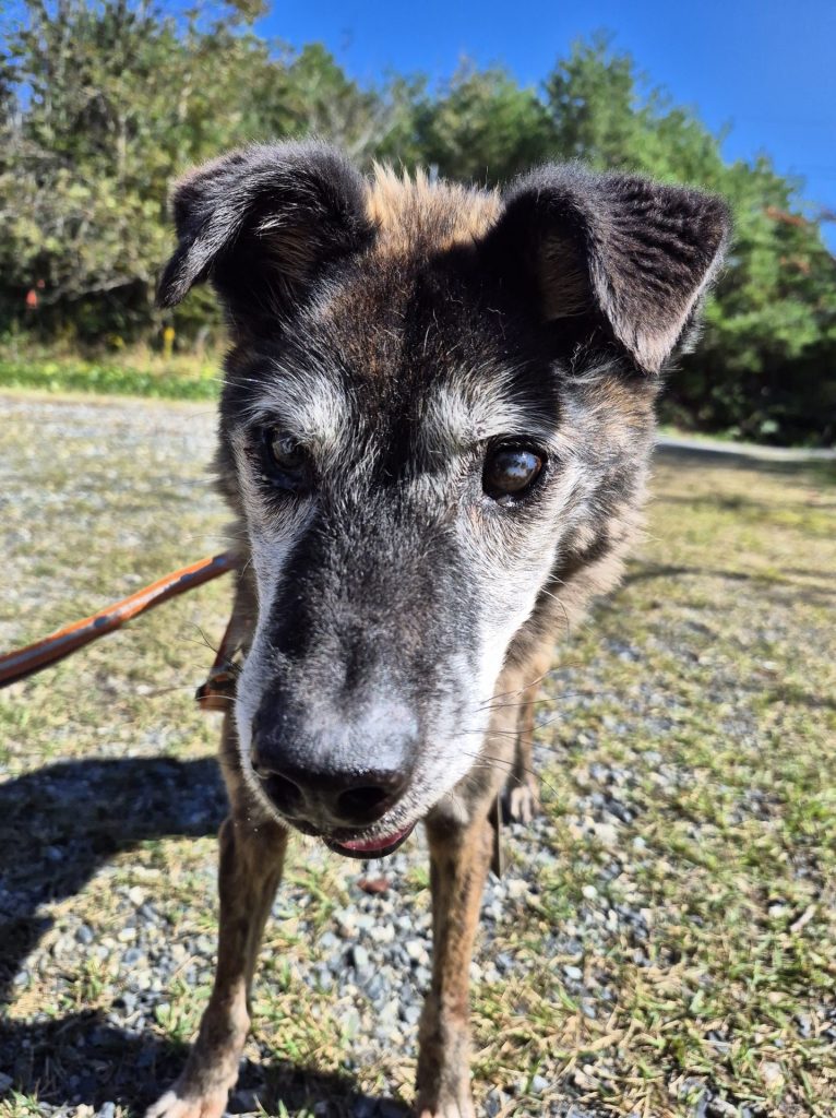 2fef43c73d5716359c2f03755f30fcf6