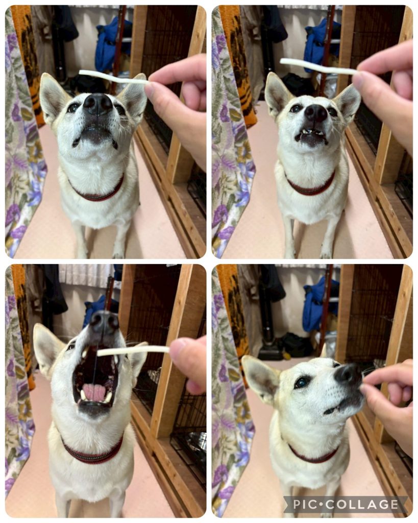 720db3cbb416c14736429ca5b5a4191d