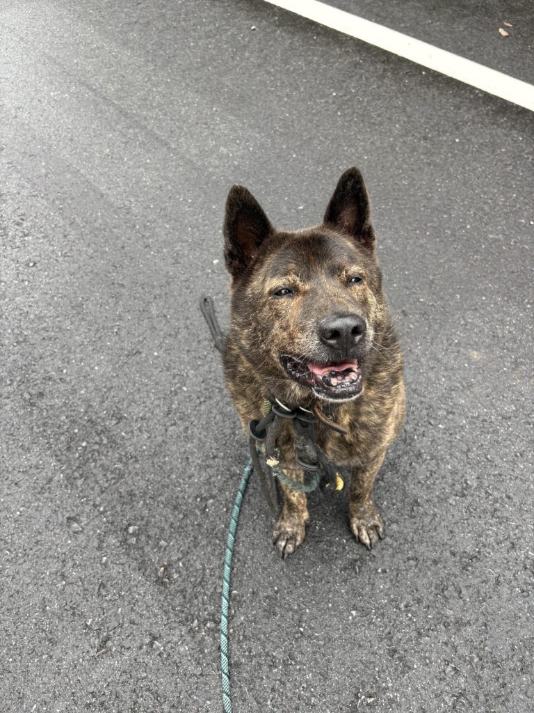 444f6095ccc7cc735b22e8c08fe56232