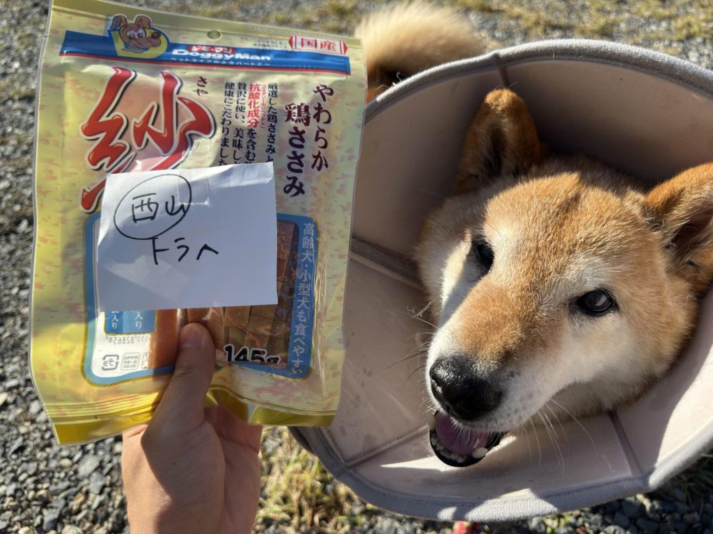 7a9648497277067c5f8d33439977eb23