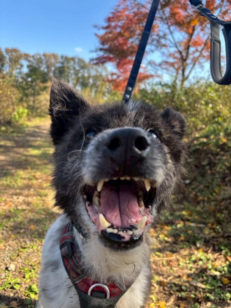 ee12c07e9992fe621891a61ae2a3c0d7