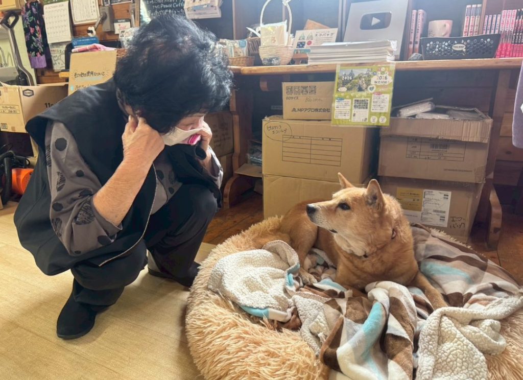 a9dd580577c02bde73df294eade23d15