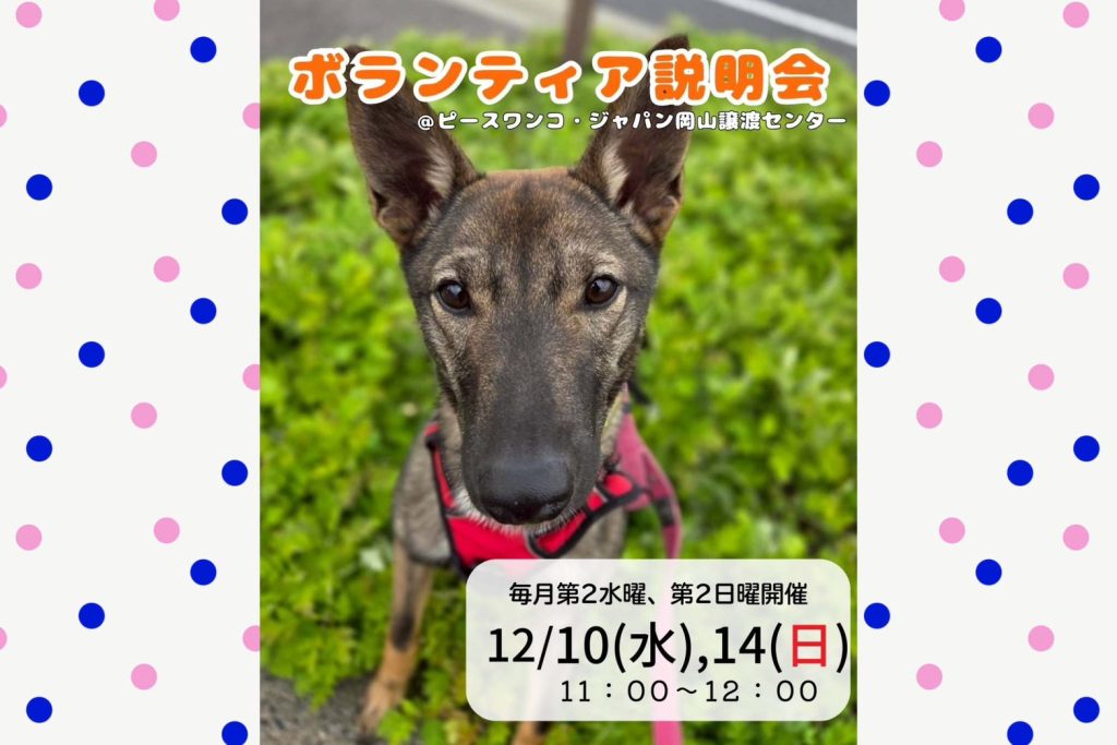 line oa chat 251123 144900