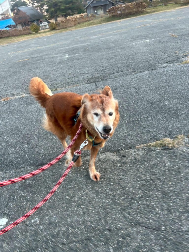 ed515d72354f48c82636ea2b19f7c45c 1