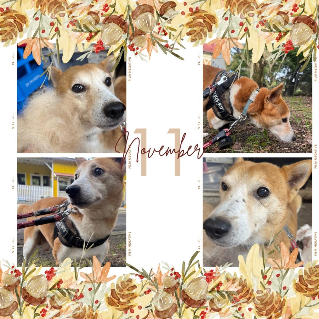 2f36528f22d2f5cb92ad897b24b393c3 2