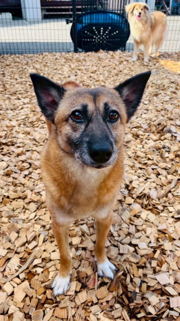 96d0fedc30e0ad38642c72c3e3ff1416