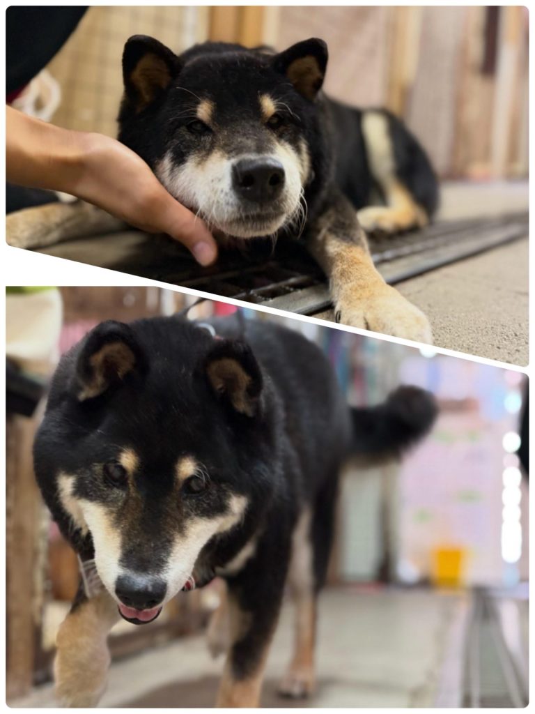 d7232931373fbefe85264959388eb1e7