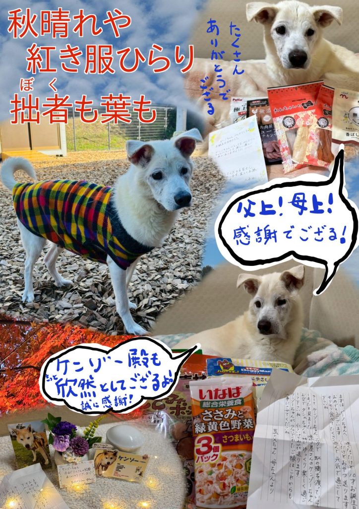 b61a2ced515f9272bd8ec53bdf843539