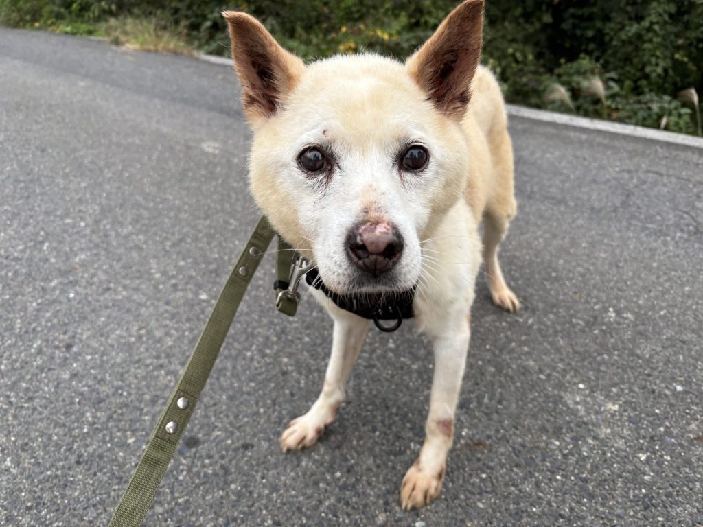 4f0a623bdd41b7fa906e06d3dec9ce58