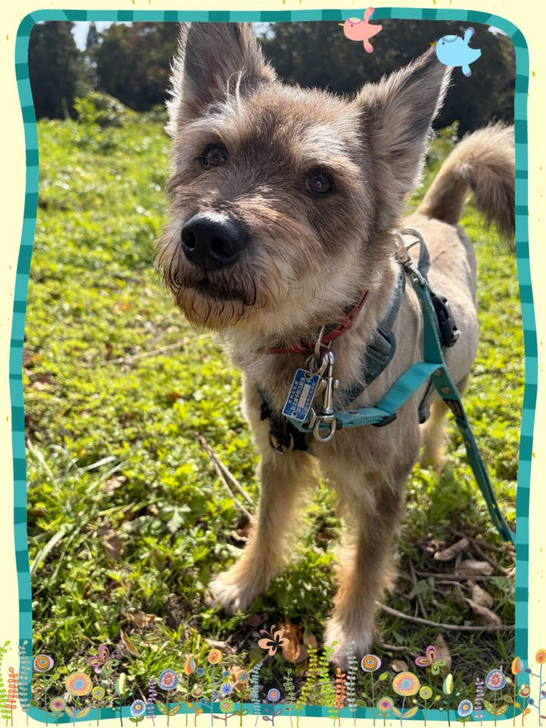 bca420091907964a58a8b516519c6235