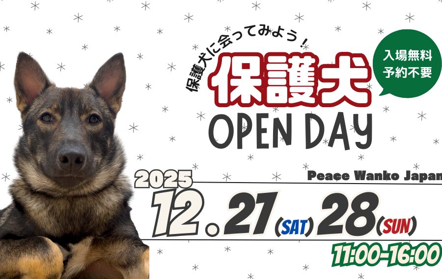 譲渡会・イベントのご案内 10 3 3