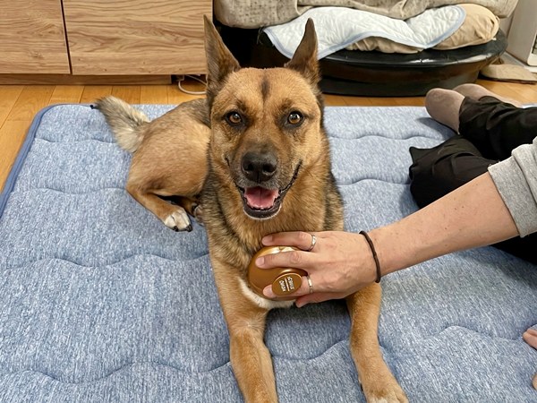 Journal 6 20251128 2 1 1