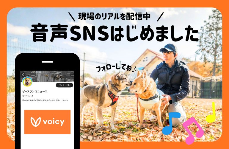 77500ff8c81096e2988d9cd93ac28e51