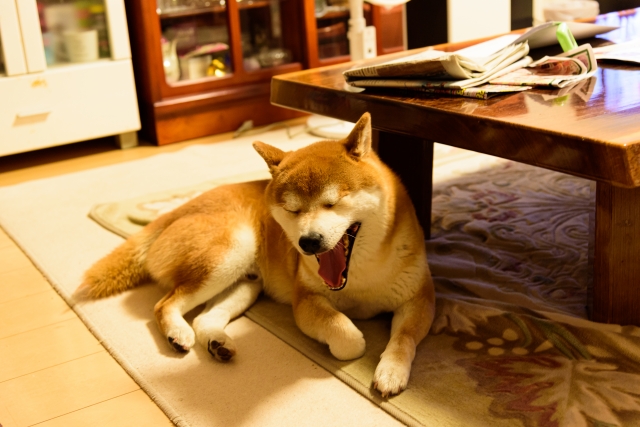 57cf88735641a27b7312b0d92db594ea