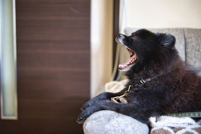 41841ed5ce0dfa2cf43c059e5af4ffd1 1