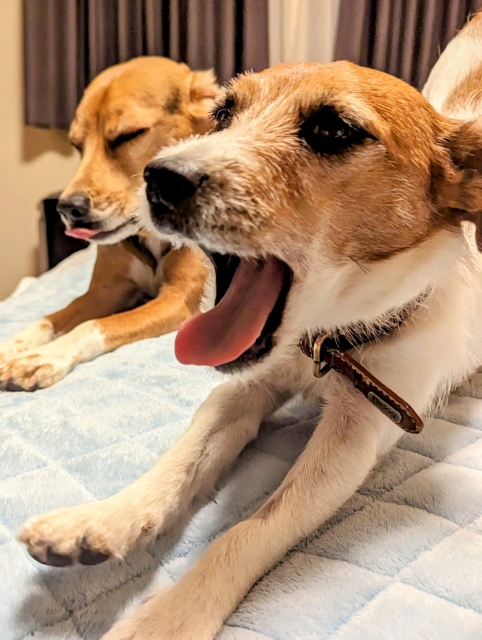 6467674056e31439292ce8e7308c4809 1