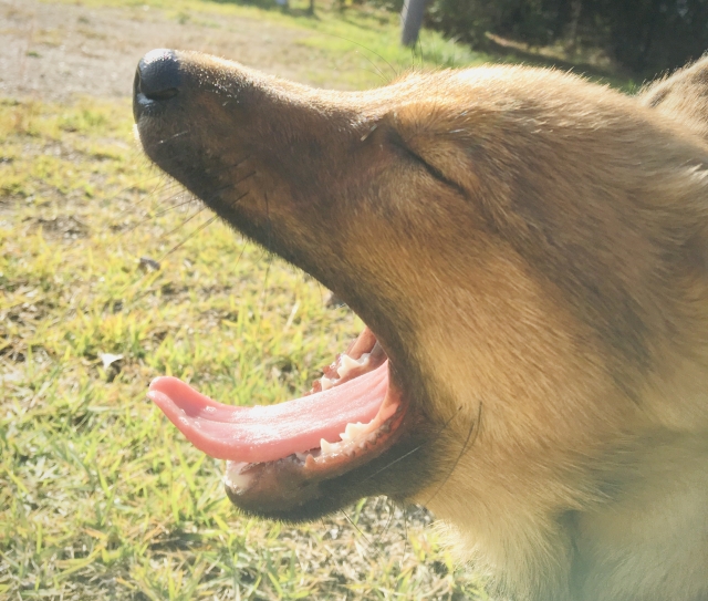 c10deb3dfa9ffae385e9715630989cec