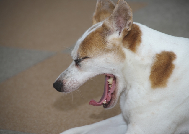 f250a59d1cc253a81c7728cfc9230600