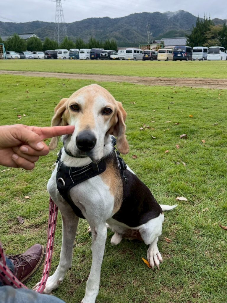 27be0ec91747e6ce458074f719c38f0f 1