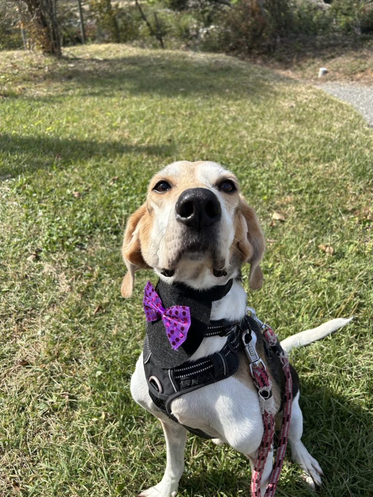 24a7ff8fd6be325b6199d19798cb15aa 2