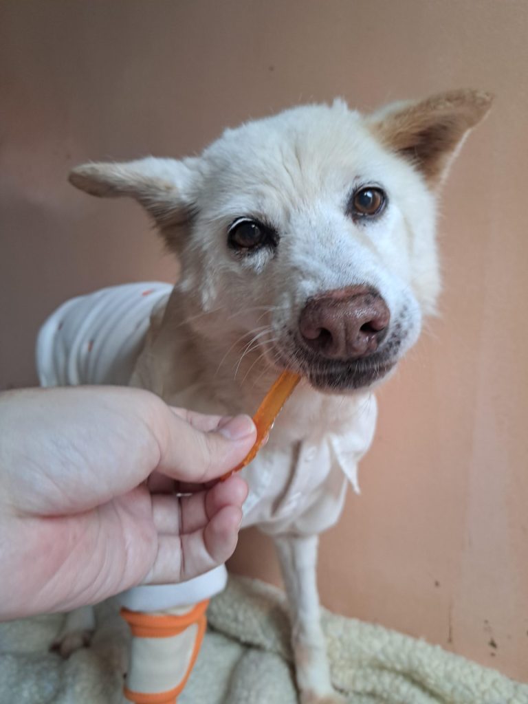 389bff4d0060396755e11de155621bf0